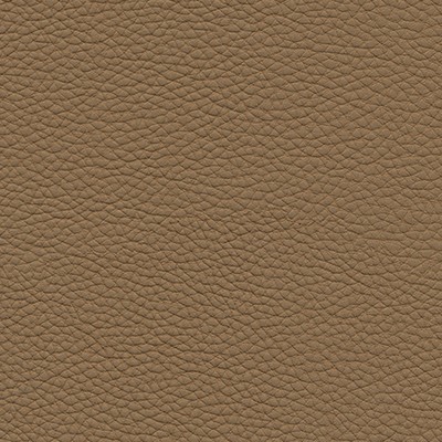 Maxwell Fabrics ANDALUSIA-NJ # 613 SEED