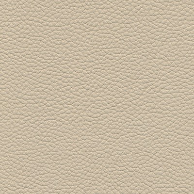 Maxwell Fabrics ANDALUSIA-NJ # 615 PROSECCO