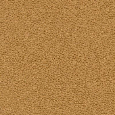 Maxwell Fabrics ANDALUSIA-NJ # 617 BISCUIT