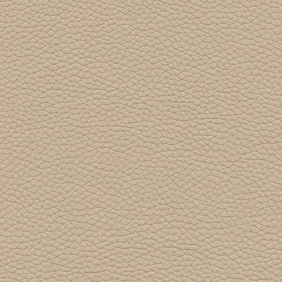 Maxwell Fabrics ANDALUSIA-NJ # 622 COOKIE DOUGH