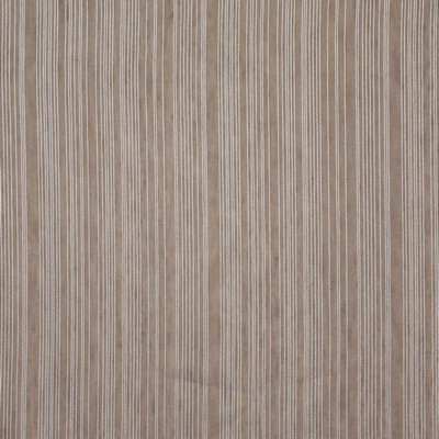 Maxwell Fabrics ARITA # 559 TAUPE