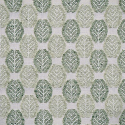 Maxwell Fabrics ARBORIO 351 CELADON