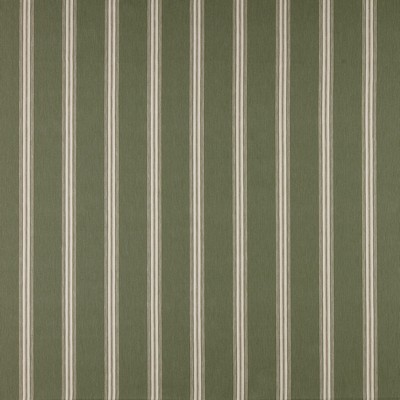 Maxwell Fabrics ASHFORD # 618 LICHEN