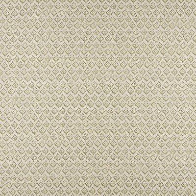 Maxwell Fabrics ASTER # 503 SAGE