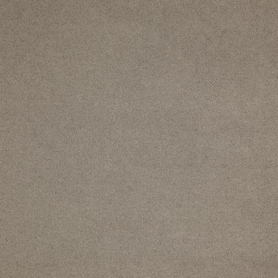 Maxwell Fabrics BONUS                          896 DOE                