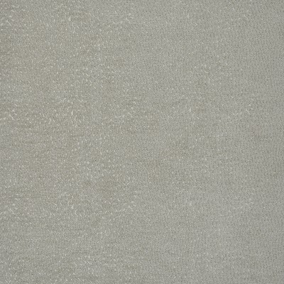 Maxwell Fabrics BITSY                          717 FIELDMOUSE         