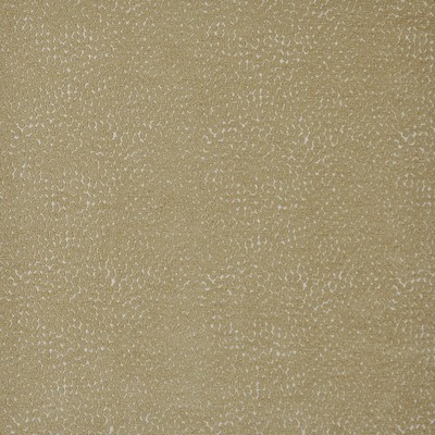 Maxwell Fabrics BITSY                          722 GRAIN              