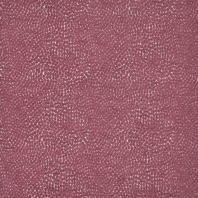Maxwell Fabrics BITSY                          803 FUCHSIA            