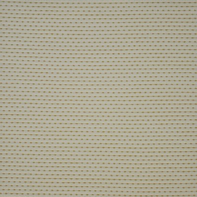 Maxwell Fabrics BRAILLE                        205 BUTTERCUP          