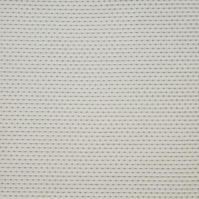 Maxwell Fabrics BRAILLE                        206 STARLIGHT          