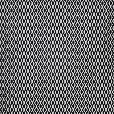 Maxwell Fabrics BIRDS EYE # 624 PONGO