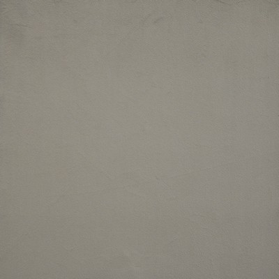 Maxwell Fabrics BACALL                         # 772 SIAMESE            