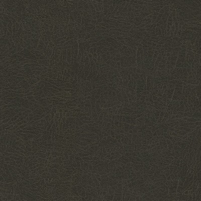 Maxwell Fabrics BARREL RACE-NJ # 128 MOLE