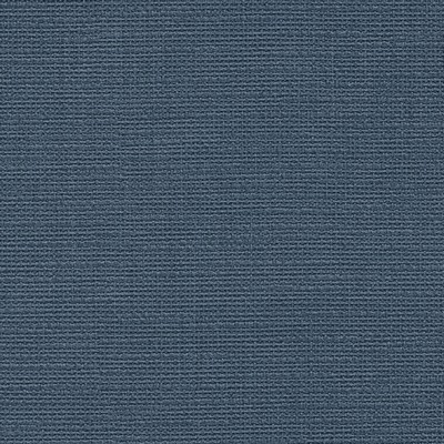 Maxwell Fabrics BERGMAN-NJ # 309 OCEAN