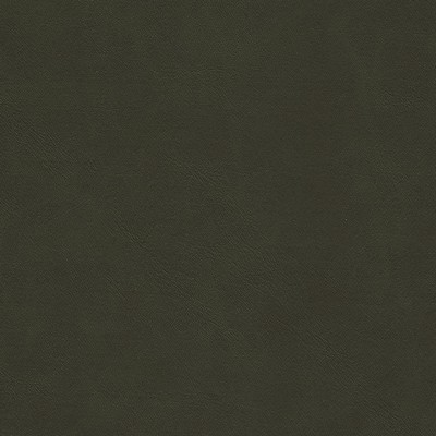 Maxwell Fabrics BOYDEN-NJ # 929 GUERRILA