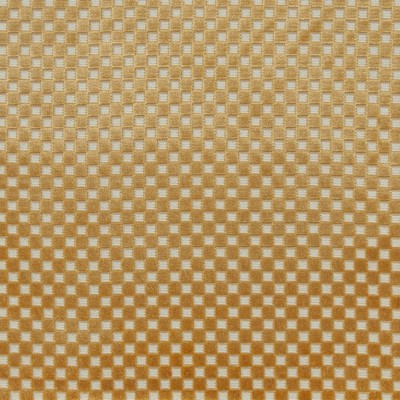 Maxwell Fabrics BOLZANO # 636 MIDAS