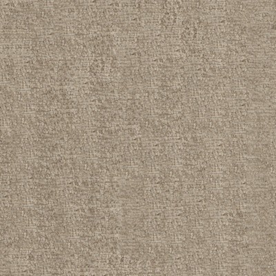 Maxwell Fabrics BRAVA # 809 FOSSIL