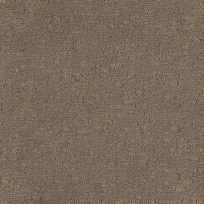 Maxwell Fabrics BRAVA # 810 BROWNIE