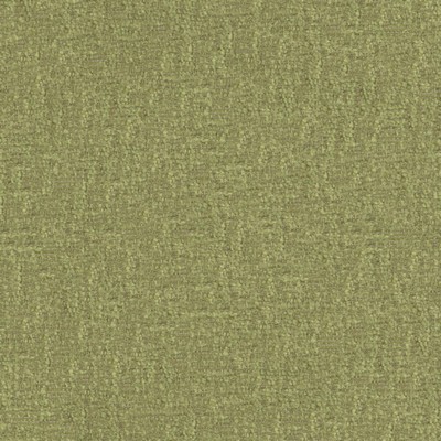 Maxwell Fabrics BRAVA # 823 DILL