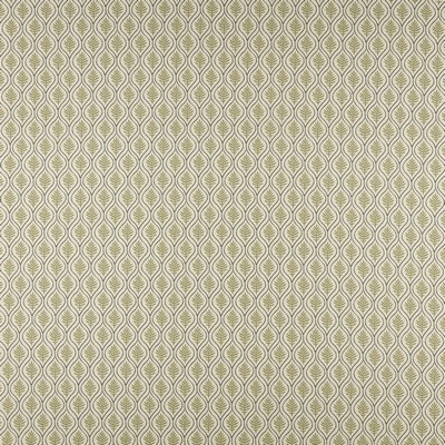 Maxwell Fabrics BIRCH # 505 OLIVE