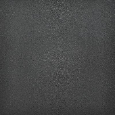 Maxwell Fabrics BEWITCHED                      244 POPPY SEED         