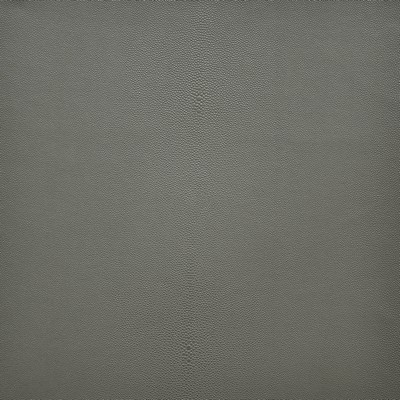 Maxwell Fabrics BEWITCHED                      253 FOSSIL             