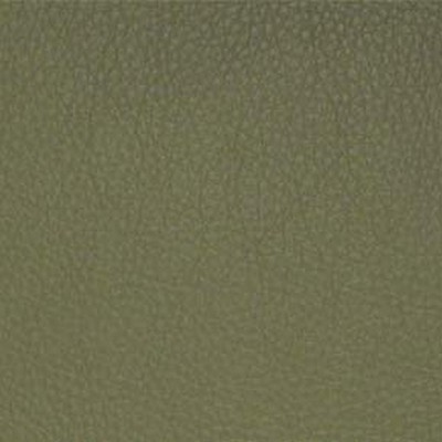 Maxwell Fabrics CLASSIC(CONTRACT VINYL) # 036 SAGE