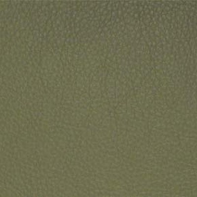 Maxwell Fabrics CLASSIC(CONTRACT VINYL) # 036 SAGE