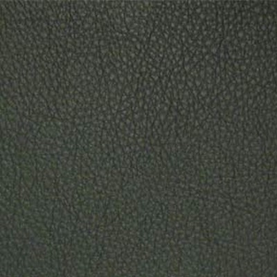 Maxwell Fabrics CLASSIC(CONTRACT VINYL) # 039 SPRUCE
