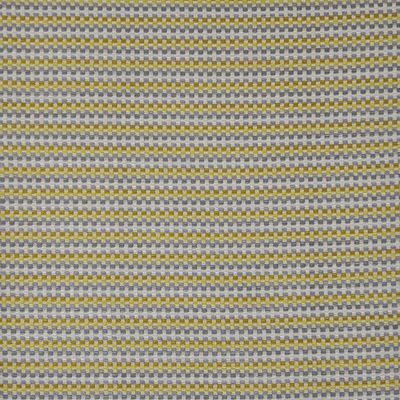 Maxwell Fabrics CHECKOUT                       307 CITRINE            