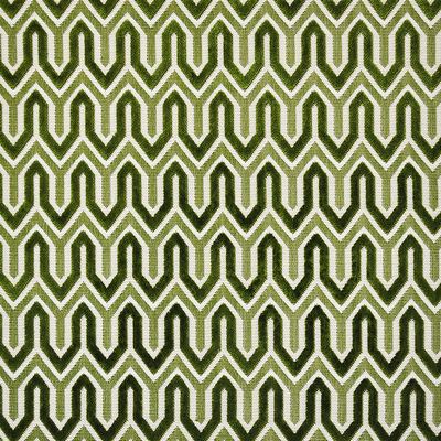 Maxwell Fabrics CHASE                          125 GREEN FIELD        