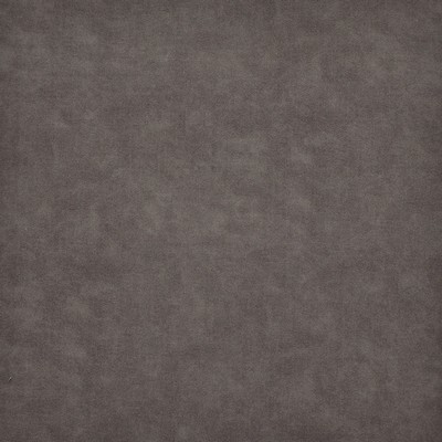 Maxwell Fabrics CHAMBERS-ESS # 801 STINGRAY