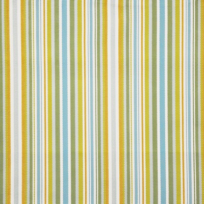 Maxwell Fabrics CADET                          # 431 CITRUS             