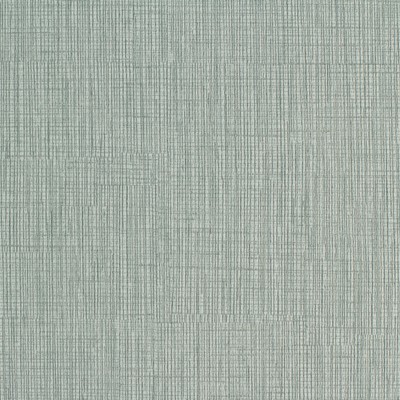 Maxwell Fabrics CINEMA # 708 TURTLE DOVE