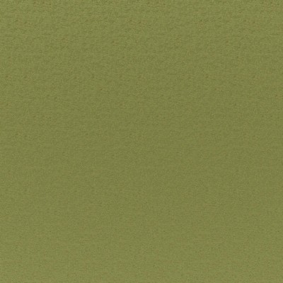 Maxwell Fabrics CADENZA # 741 GRASS