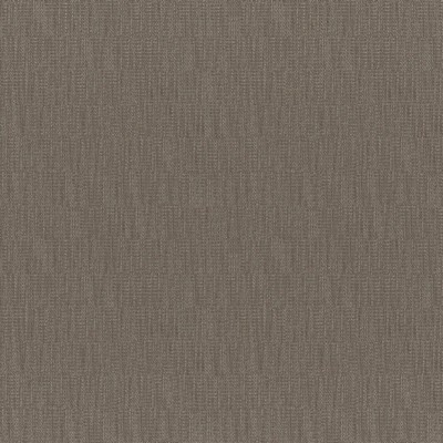 Maxwell Fabrics CHICO # 251 BISON