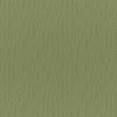 Maxwell Fabrics CHICO # 831 ALOE