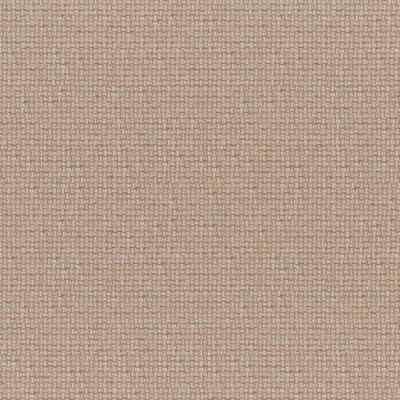 Maxwell Fabrics CARACARA # 542 CINNAMON