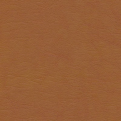 Maxwell Fabrics CAPULET-NJ # 1267 AUTUMN