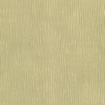 Maxwell Fabrics CARUSO-NJ # 439 CELERIAC