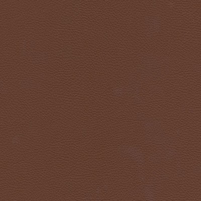 Maxwell Fabrics CATALYST-NJ # 516 THOROUGHBRED