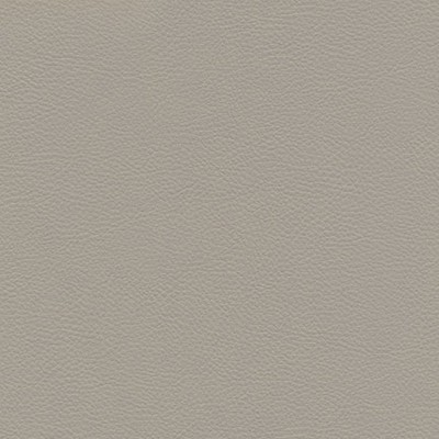 Maxwell Fabrics CATALYST-NJ # 531 CASTOR