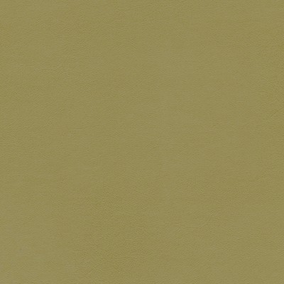 Maxwell Fabrics CHIANTI-NJ # 1100 CAPER