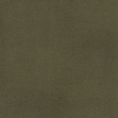 Maxwell Fabrics CHIANTI-NJ # 1109 SAGE