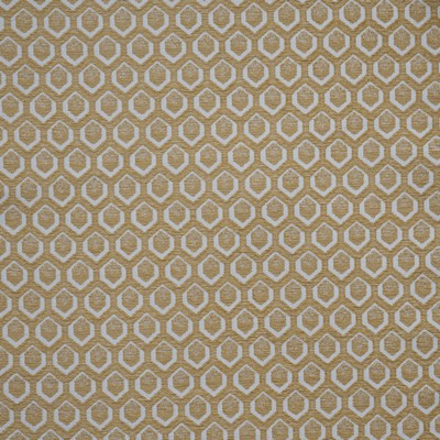 Maxwell Fabrics CADBORO 701 HUSK