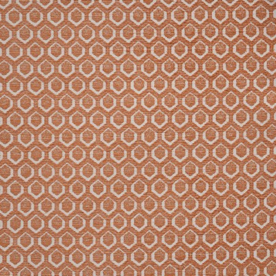 Maxwell Fabrics CADBORO 804 CARNATION