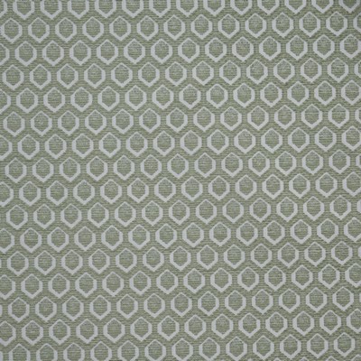 Maxwell Fabrics CADBORO 916 WINTERGREEN