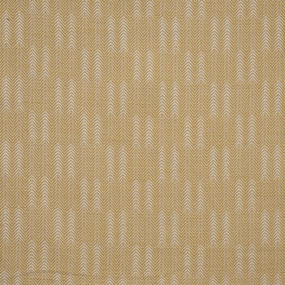 Maxwell Fabrics CONIFER 707 BUTTERSCOTCH