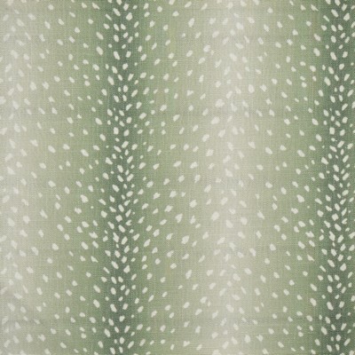 Maxwell Fabrics CHITAL 353 ALOE