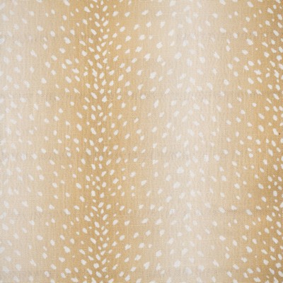 Maxwell Fabrics CHITAL 624 OCHRE